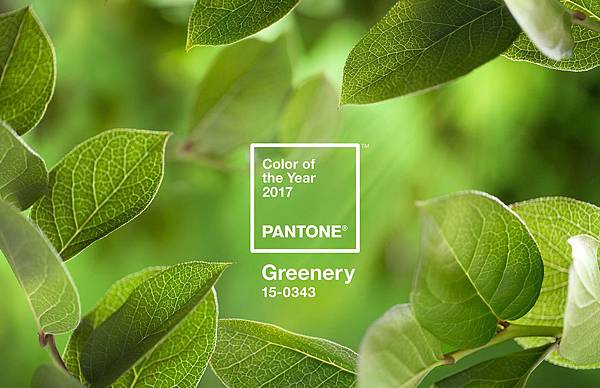 訂製家具交流 %count(title) 2016年度流行代表色 -Greenery 草綠色